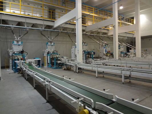 Servo Motion Wielofunkcyjne zautomatyzowane linie pakujące Convering Robot Palletzing System
