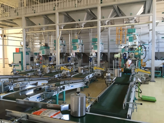 700mm 850mm Szybka automatyczna linia do pakowania w worki 5kg do 10kg