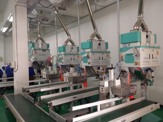 EWINALL Weigh Filler Pakowarka PLC 500g 30kg